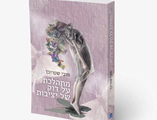 מתהלכת על דוק של יציבות, טובי שטרובך